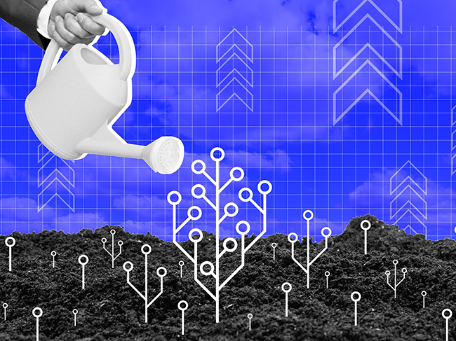 Brandworks Technologies raises $7M in round led by Catcus Partners